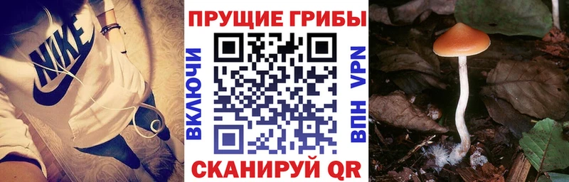 Псилоцибиновые грибы ЛСД  цена   Мураши 