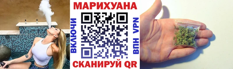 где купить наркотик  Мураши  Бошки марихуана семена 